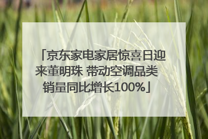 京东家电家居惊喜日迎来董明珠 带动空调品类销量同比增长100%