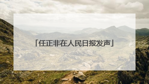 任正非在人民日报发声