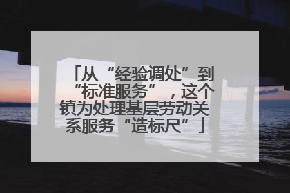 从“经验调处”到“标准服务”，这个镇为处理基层劳动关系服务“造标尺”