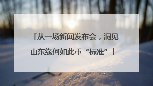 从一场新闻发布会，洞见山东缘何如此重“标准”