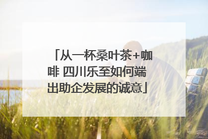 从一杯桑叶茶+咖啡 四川乐至如何端出助企发展的诚意