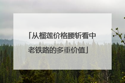 从榴莲价格腰斩看中老铁路的多重价值
