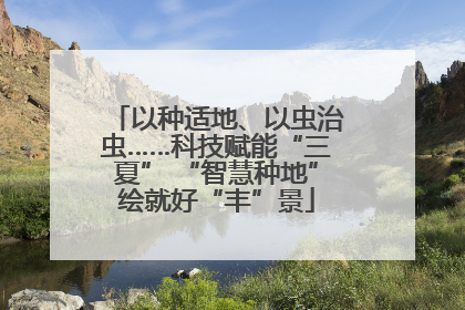 以种适地、以虫治虫……科技赋能“三夏” “智慧种地”绘就好“丰”景