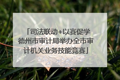 司法联动+以赛促学 德州市审计局举办全市审计机关业务技能竞赛