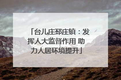 台儿庄邳庄镇：发挥人大监督作用 助力人居环境提升