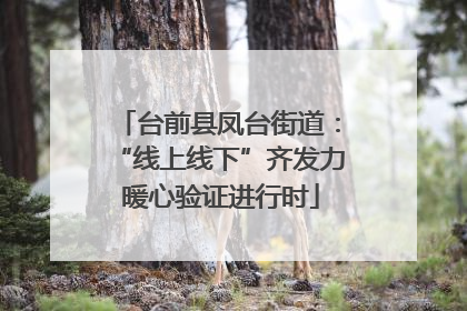 台前县凤台街道：“线上线下”齐发力 暖心验证进行时