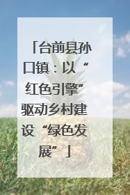 台前县孙口镇：以“红色引擎”驱动乡村建设“绿色发展”