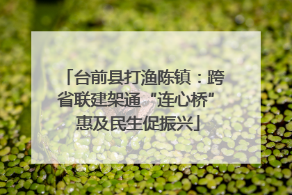 台前县打渔陈镇：跨省联建架通“连心桥” 惠及民生促振兴