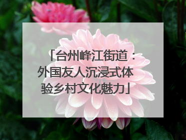 台州峰江街道：外国友人沉浸式体验乡村文化魅力