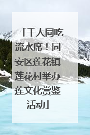 千人同吃流水席！同安区莲花镇莲花村举办莲文化赏鉴活动