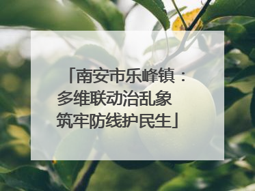 南安市乐峰镇：多维联动治乱象 筑牢防线护民生