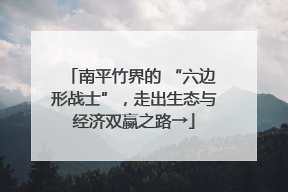 南平竹界的 “六边形战士”，走出生态与经济双赢之路→