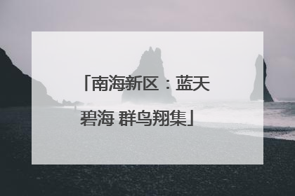 南海新区：蓝天碧海 群鸟翔集