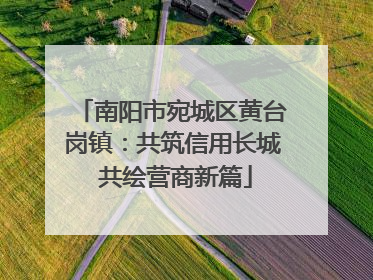 南阳市宛城区黄台岗镇：共筑信用长城 共绘营商新篇