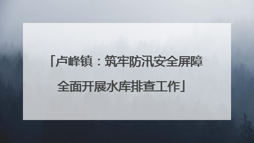 卢峰镇：筑牢防汛安全屏障 全面开展水库排查工作