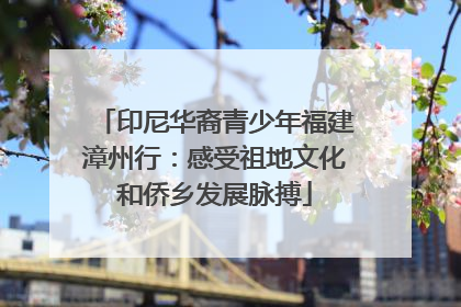 印尼华裔青少年福建漳州行：感受祖地文化和侨乡发展脉搏