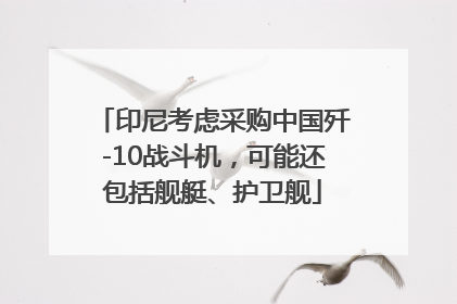 印尼考虑采购中国歼-10战斗机，可能还包括舰艇、护卫舰