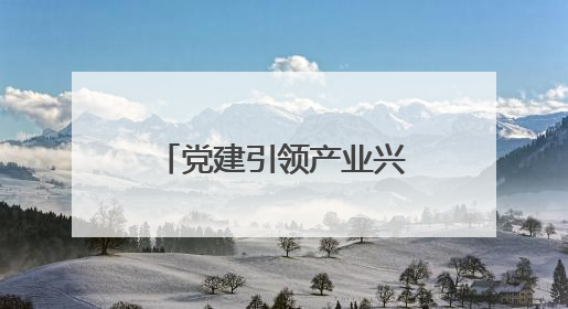 党建引领产业兴，紫云小湾村从 “靠天吃饭” 到 “抱团生金”