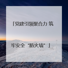 党建引领聚合力 筑牢安全“防火墙”