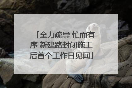 全力疏导 忙而有序 新建路封闭施工后首个工作日见闻