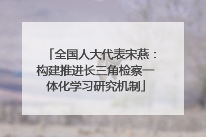 全国人大代表宋燕：构建推进长三角检察一体化学习研究机制