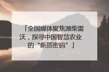 全国媒体聚焦潍柴雷沃，探寻中国智慧农业的“新质密码”
