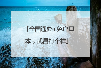 全国通办+免户口本，武昌打个样