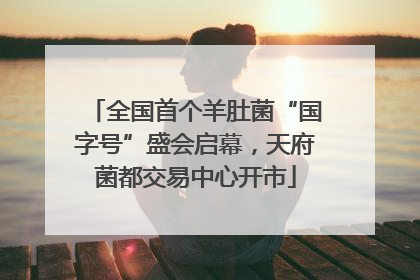 全国首个羊肚菌“国字号”盛会启幕，天府菌都交易中心开市