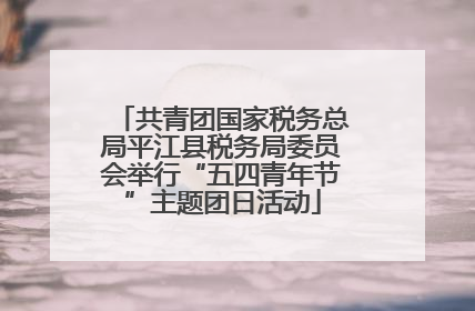 共青团国家税务总局平江县税务局委员会举行“五四青年节”主题团日活动