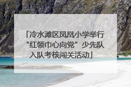 冷水滩区凤凰小学举行“红领巾心向党”少先队入队考核闯关活动