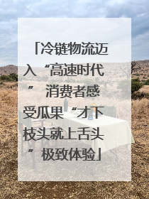 冷链物流迈入“高速时代” 消费者感受瓜果“才下枝头就上舌头”极致体验