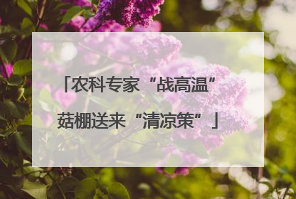 农科专家“战高温” 菇棚送来“清凉策”