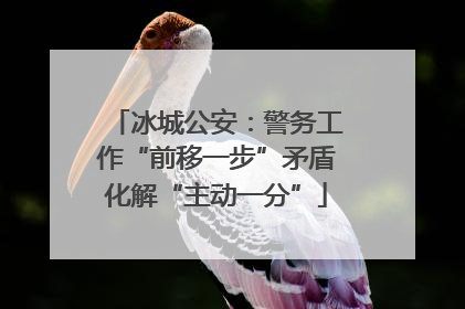 冰城公安：警务工作“前移一步”矛盾化解“主动一分”