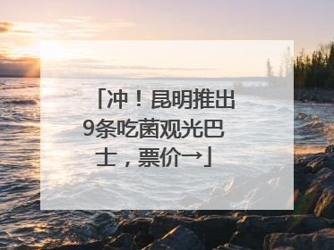 冲！昆明推出9条吃菌观光巴士，票价→