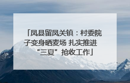 凤县留凤关镇：村委院子变身晒麦场 扎实推进“三夏”抢收工作