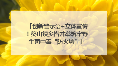 创新警示语+立体宣传！葵山镇多措并举筑牢野生菌中毒“防火墙”