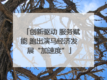 创新驱动 服务赋能 跑出演马经济发展“加速度”
