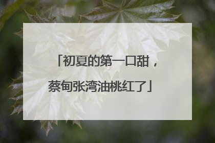 初夏的第一口甜，蔡甸张湾油桃红了