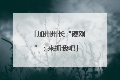 加州州长“硬刚”：来抓我吧