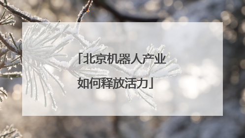 北京机器人产业如何释放活力