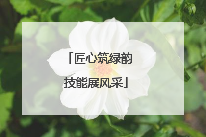 匠心筑绿韵 技能展风采