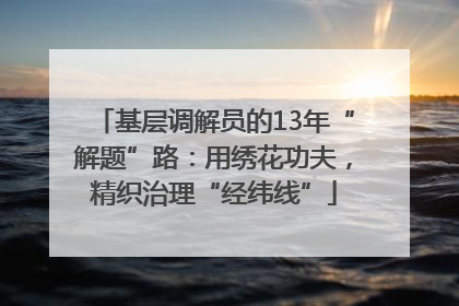基层调解员的13年“解题”路：用绣花功夫，精织治理“经纬线”