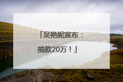 吴艳妮宣布：捐款20万！