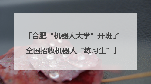 合肥“机器人大学”开班了 全国招收机器人“练习生”