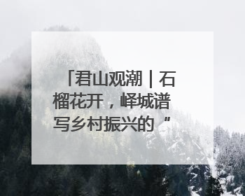 君山观潮｜石榴花开，峄城谱写乡村振兴的“新”篇章