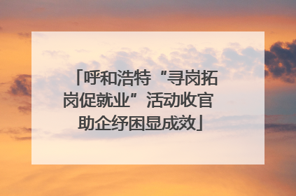 呼和浩特“寻岗拓岗促就业”活动收官 助企纾困显成效