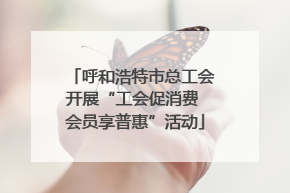 呼和浩特市总工会开展“工会促消费 会员享普惠”活动