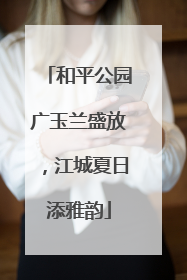 和平公园广玉兰盛放，江城夏日添雅韵