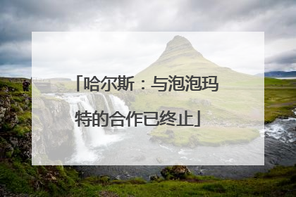 哈尔斯：与泡泡玛特的合作已终止