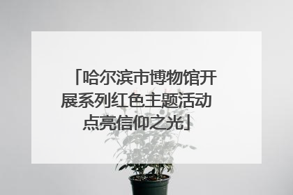 哈尔滨市博物馆开展系列红色主题活动点亮信仰之光